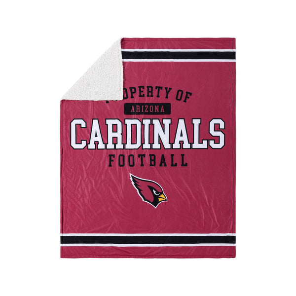 Arizona Cardinals [Book]