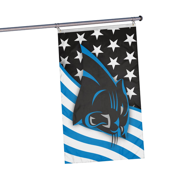 3 ft x 5 ft NFL Team Flag - Carolina Panthers