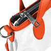 Miami Dolphins NFL Big Logo Clear Crossbody Mini Purse
