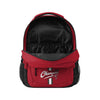 Tampa Bay Buccaneers NFL Super Bowl LV Champions Action Backpack