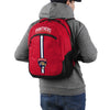 Florida Panthers NHL Action Backpack