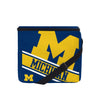 Michigan Wolverines NCAA Big Logo Stripe 12 Pack Cooler