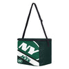 New York Jets NFL Big Logo Stripe 12 Pack Cooler