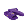 Minnesota Vikings NFL Mens Big Logo Chunky Slide