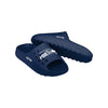 Seattle Seahawks NFL Mens Big Logo Chunky Slide