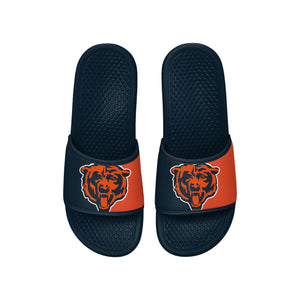 Chicago Bears NFL Team Color Primary Logo Slide