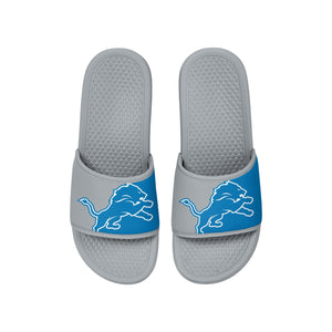 Detroit Lions NFL Team Color Primary Logo Slide