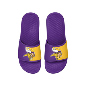 Minnesota Vikings NFL Team Color Primary Logo Slide