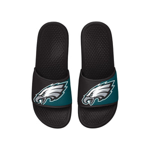 Philadelphia Eagles NFL Team Color Primary Logo Slide