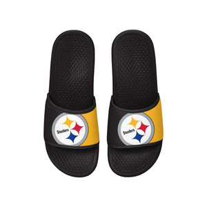 Pittsburgh Steelers NFL Team Color Primary Logo Slide