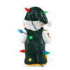 Green Bay Packers NFL Light Up Holiday Gnome