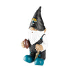 Jacksonville Jaguars NFL Team Gnome