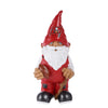 Tampa Bay Buccaneers NFL Team Gnome