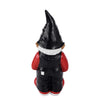 Chicago Blackhawks NHL Team Gnome