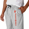 Cleveland Browns NFL Mens Athletic Gray Lounge Pants