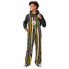 Pittsburgh Steelers NFL Mens Hyper Stripe Bib Overalls