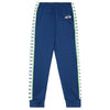 Seattle Seahawks NFL Mens Stripe Logo Track Pants