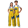 Michigan Wolverines NCAA Womens Team Stripe Bib Overalls