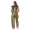 Pittsburgh Steelers NFL Womens Hyper Stripe Bib Overalls