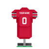 Ohio State Buckeyes NCAA BRXLZ Jersey (PREORDER - SHIPS MID OCTOBER)