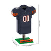 Chicago Bears NFL BRXLZ Jersey (PREORDER - SHIPS MID OCTOBER)