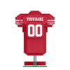 San Francisco 49ers NFL BRXLZ Jersey (PREORDER - SHIPS MID OCTOBER)