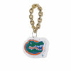 Florida Gators NCAA Big Logo Light Up Chain Ornament