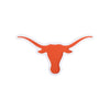 Texas Longhorns NCAA LED Neon Light Up Team Logo Sign