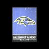 Baltimore Ravens NFL Big Logo Backlit Sign