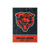 Chicago Bears NFL Big Logo Backlit Sign