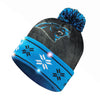 Carolina Panthers NFL Big Logo Light Up Beanie