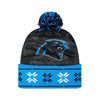 Carolina Panthers NFL Big Logo Light Up Beanie