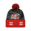 Tampa Bay Buccaneers NFL Big Logo Light Up Beanie