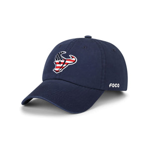 Houston Texans NFL Americana Primary Logo Casual Cap (PREORDER - SHIPS LATE JUNE)