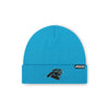 Carolina Panthers NFL Glacier Blue Basic Primary Logo Beanie