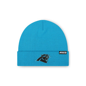 Carolina Panthers NFL Glacier Blue Basic Primary Logo Beanie (PREORDER - SHIPS EARLY NOVEMBER)
