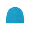 Carolina Panthers NFL Glacier Blue Basic Primary Logo Beanie