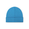 Detroit Lions NFL Glacier Blue Basic Primary Logo Beanie