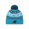 Carolina Panthers NFL Glacier Blue Primary Logo Stripe Pom Beanie