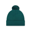 Philadelphia Eagles NFL Midnight Green Basic Primary Logo Pom Beanie