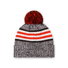 Cleveland Browns NFL Heather Team Stripe Lined Pom Beanie