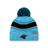 Carolina Panthers NFL Heather Team Stripe Lined Pom Beanie