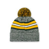 Green Bay Packers NFL Heather Team Stripe Lined Pom Beanie