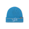 Detroit Lions NFL Glacier Blue Primary Logo Ribbed Beanie