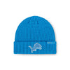 Detroit Lions NFL Primary Logo Waffle Beanie