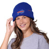 Buffalo Bills NFL Primary Logo Waffle Beanie