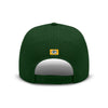 Green Bay Packers NFL Poly Pro Marquee RF Cap