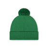 Philadelphia Eagles NFL Kelly Green Basic Retro Logo Pom Beanie