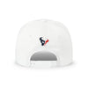 Houston Texans NFL Monty Script Marquee RF Cap