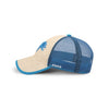 Detroit Lions NFL Straw Casual Trucker Cap